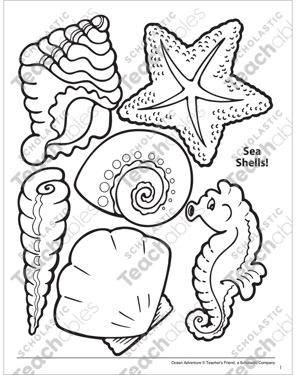 sea shells coloring pages
