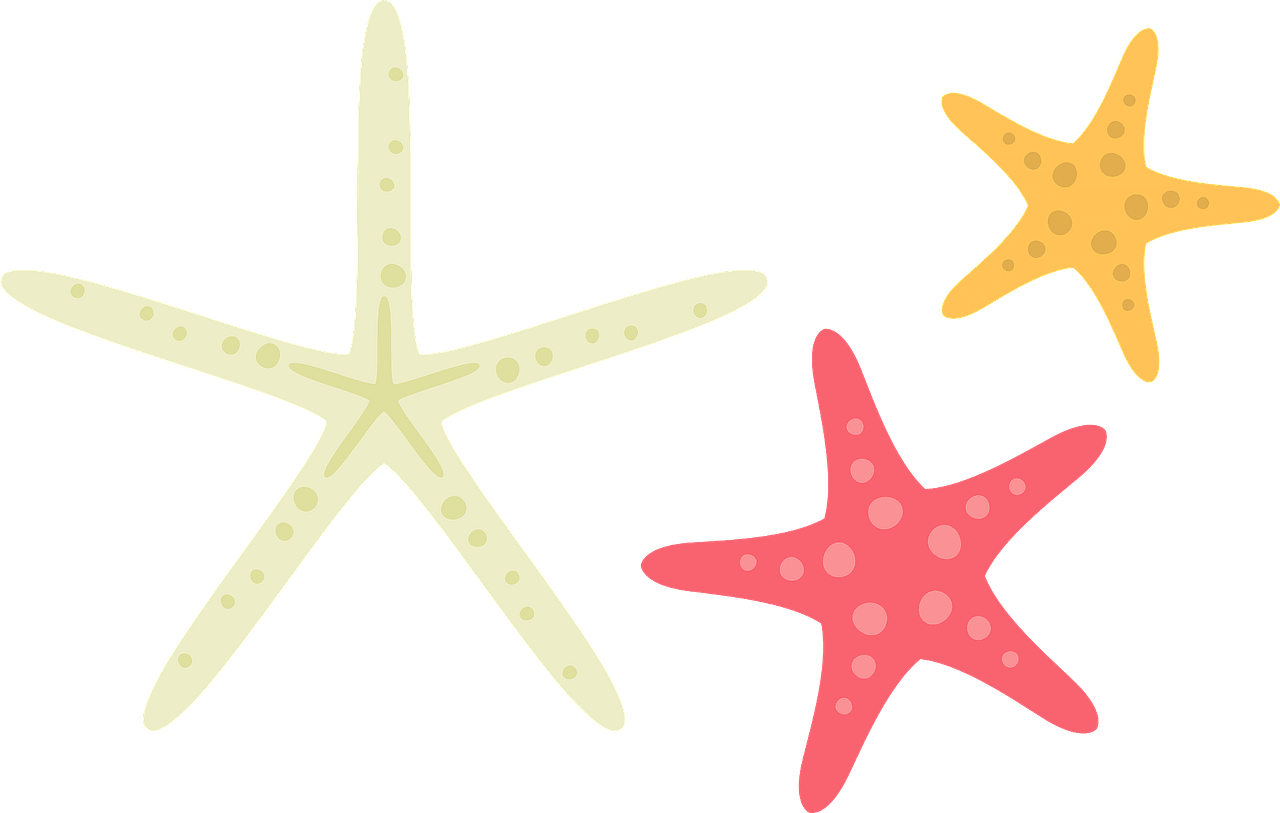 Starfish sea stars - Free vector clipart images on clipart library.com