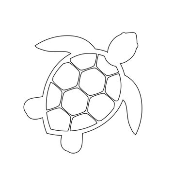Sea Turtle Outline Images – Browse 14,230 Stock Photos, Vectors ...