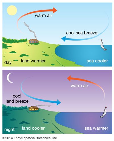 Sea breeze | Coastal Winds, Oceanic Airflows &amp; Marine Climate ...