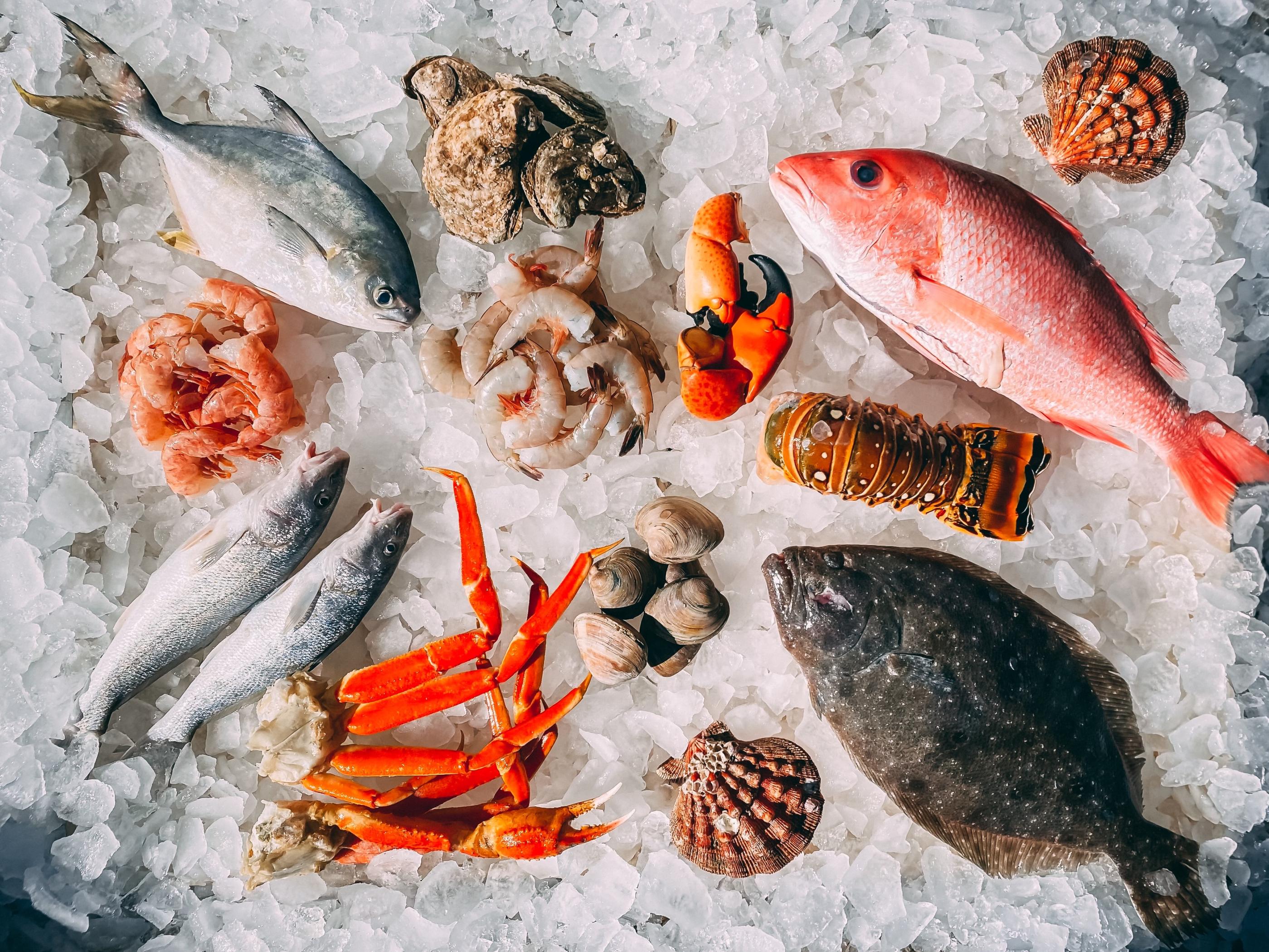 Fish &amp; Seafood Analysis | Tentamus Group