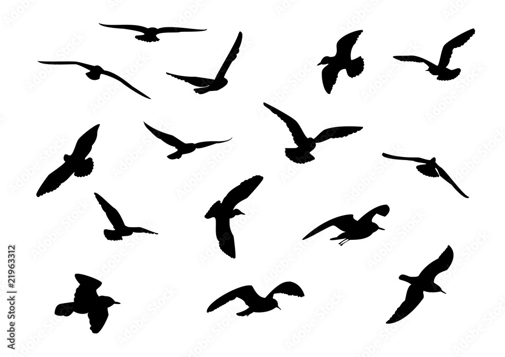 14 seagull silhouette Stock-Vektorgrafik | Adobe Stock