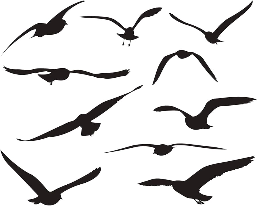 10 PCS Large Seagull Silhouette Wall Decal Flock of Birds Seagulls Wall  Stickers Removable Peel and Stick Seagull Wall Art Decor for Dining Room ...