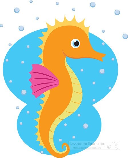 seahorse cliparts