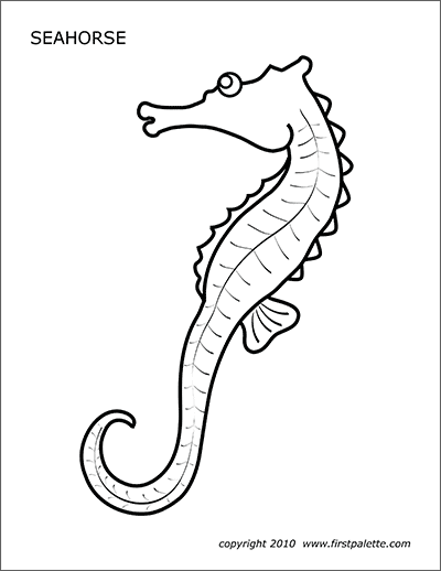 seahorse pictures printable