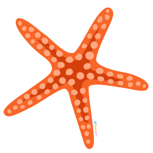 seashells clipart
