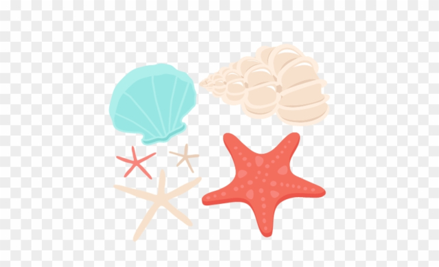 seashells clipart