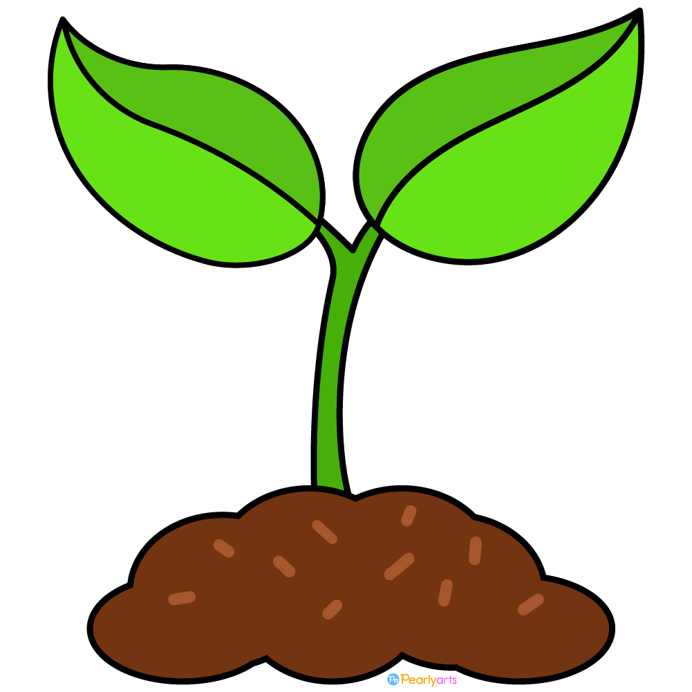 FREE Seedling Clipart (Royalty-free) | Pearly Arts