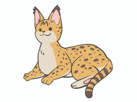 Free Vectors | serval cat