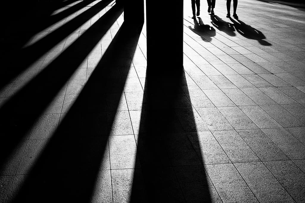 shadows