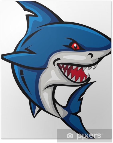 shark cartoon