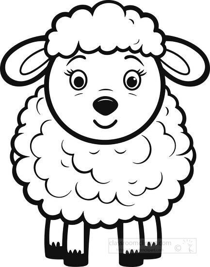 sheep clipart
