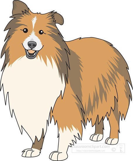 Dog Clipart-dog breed shetland sheepdog