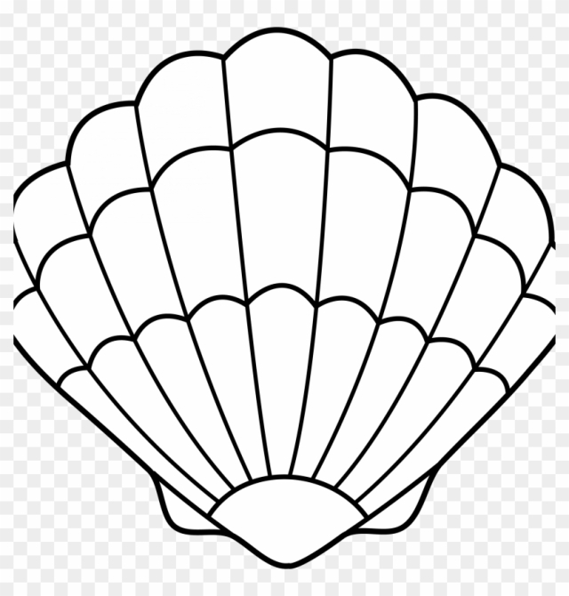 shell clipart