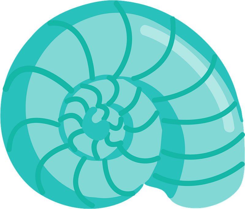 Seashell - Free vector clipart images on clipart library.com
