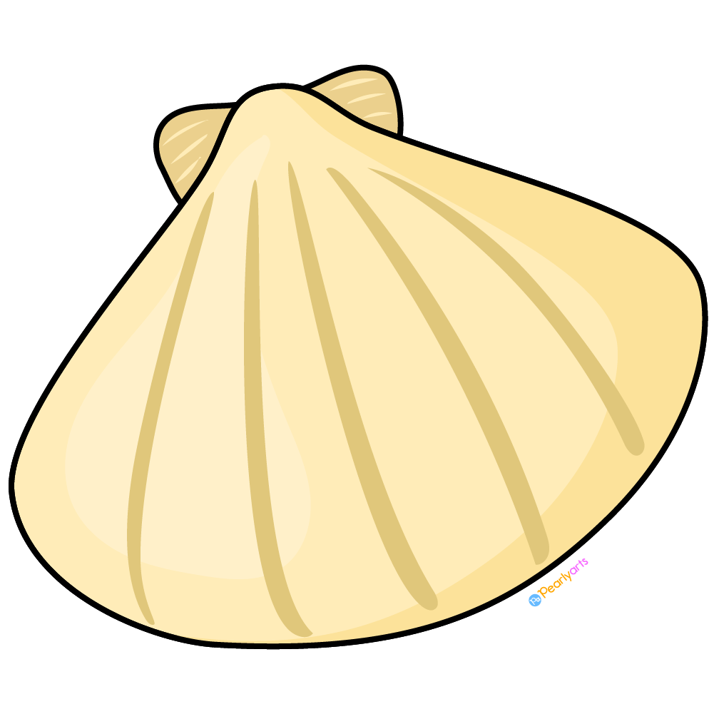 shells clipart