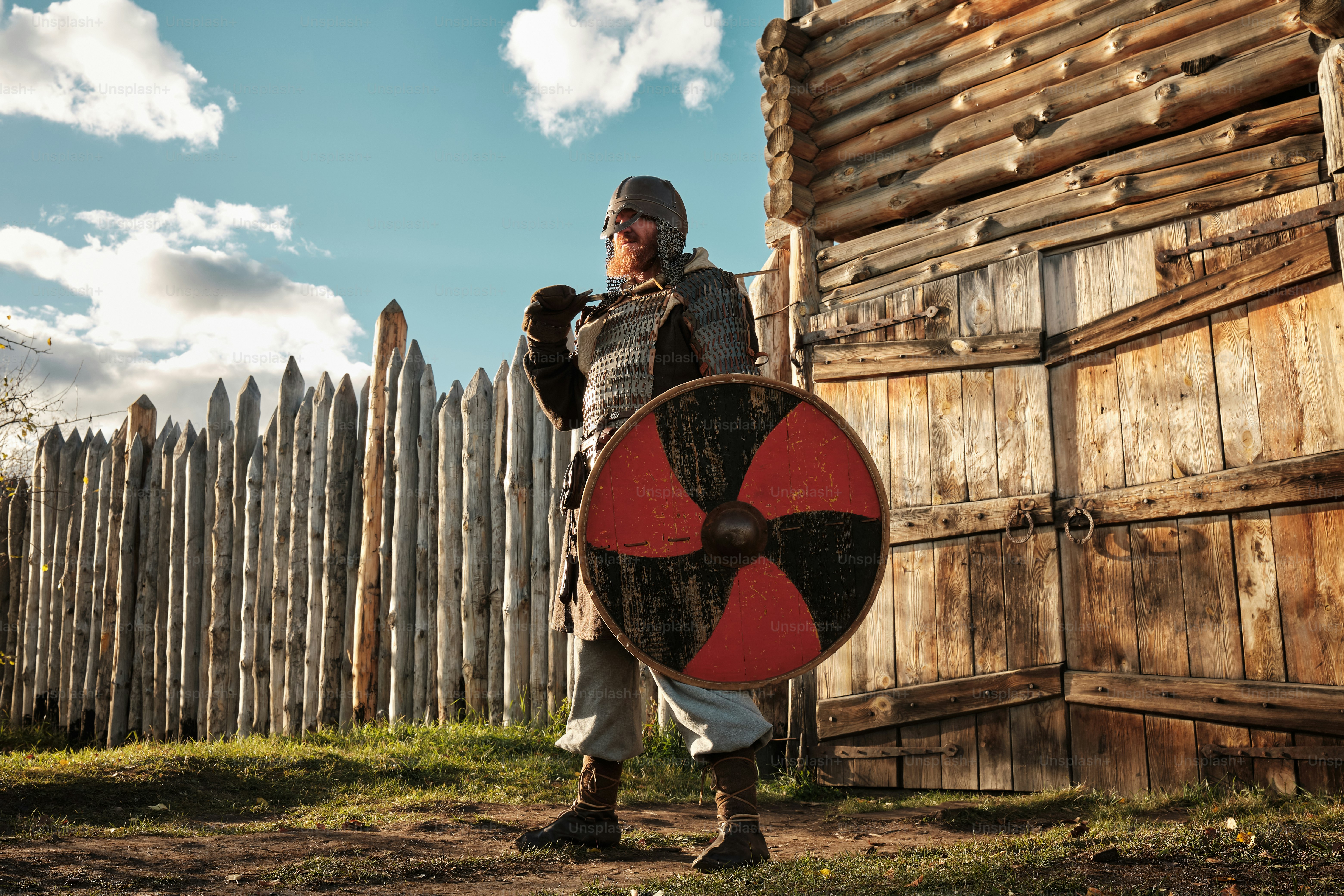 30k+ Shield Pictures | Download Free Images on Unsplash