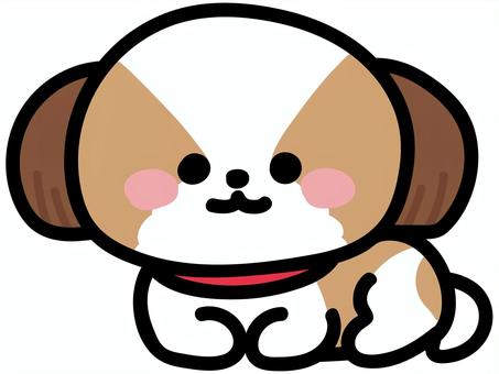 Shih tzu Vectors, Clipart &amp; Illustrations for Free Download - illustAC