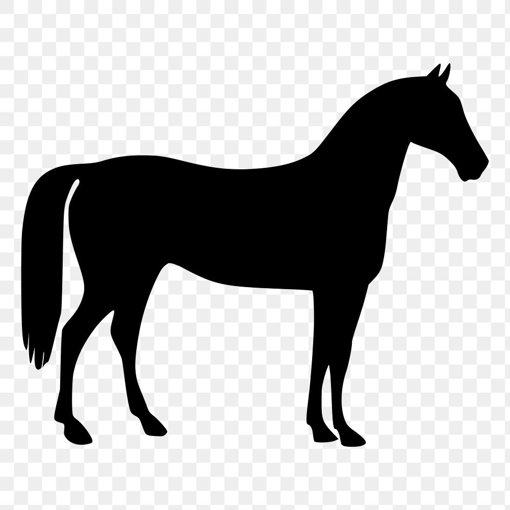 silhouette of a horse