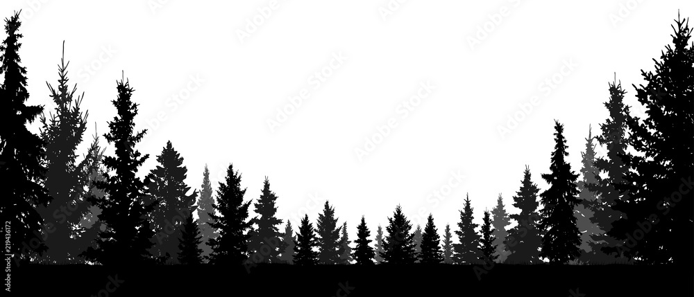 Forest, coniferous trees, silhouette vector background. Tree, fir ...