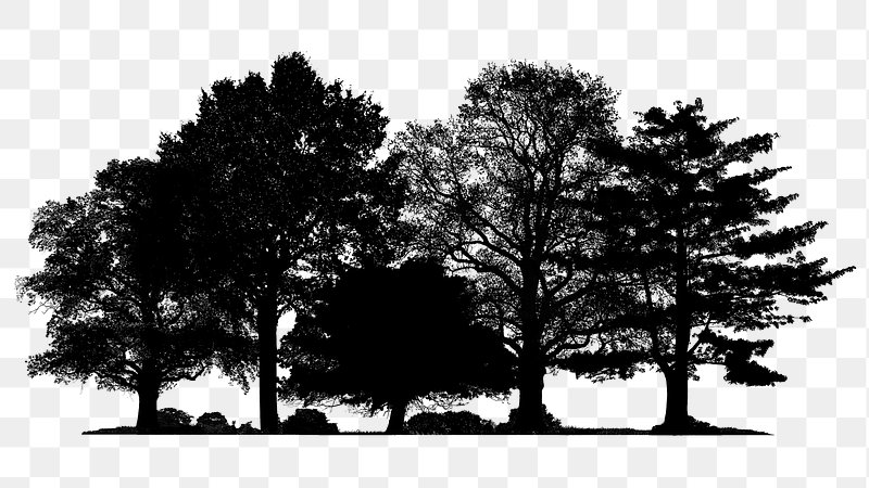 Tree Silhouette Images | Free Photos, PNG Stickers, Wallpapers ...