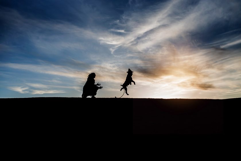 silhouettes