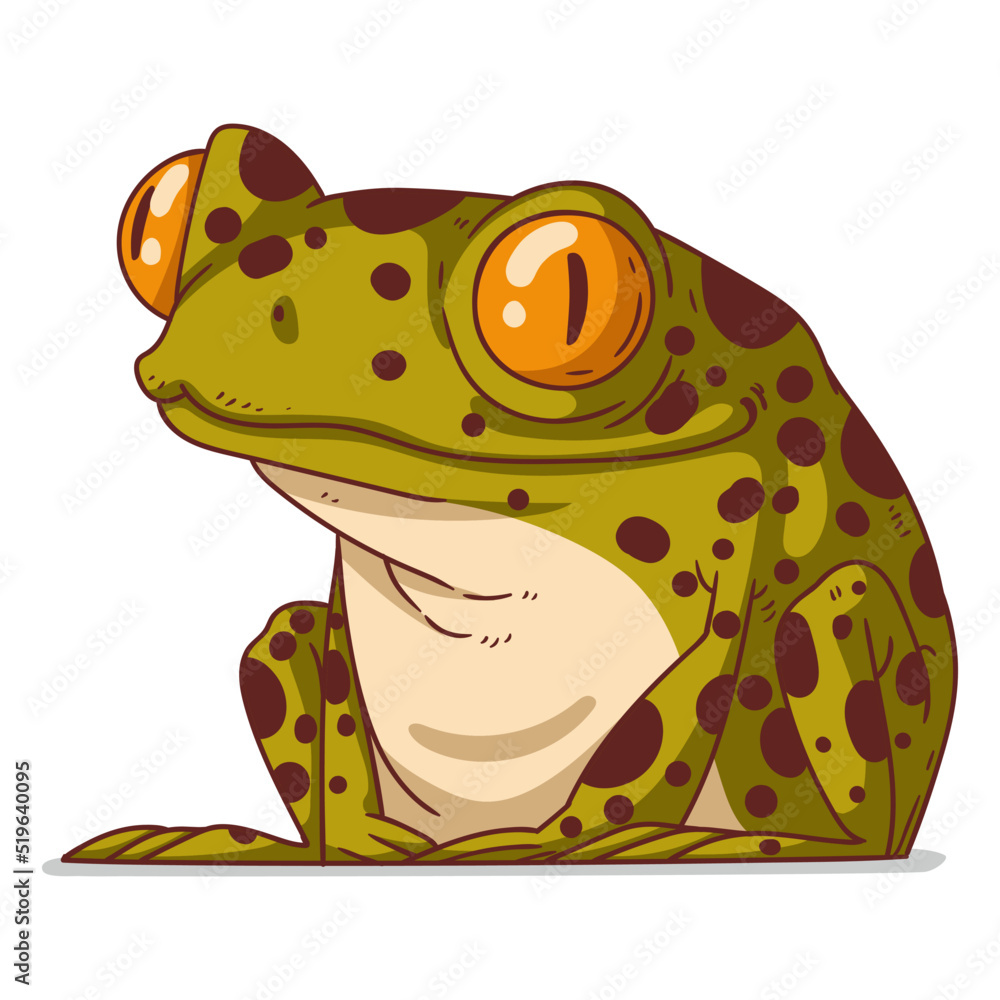 A Frog, isolated vector illustration. Cute cartoon picture for ...