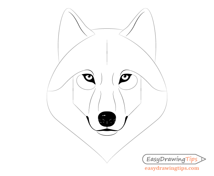 How to Draw a Wolf Face &amp; Head Step by Step - EasyDrawingTips