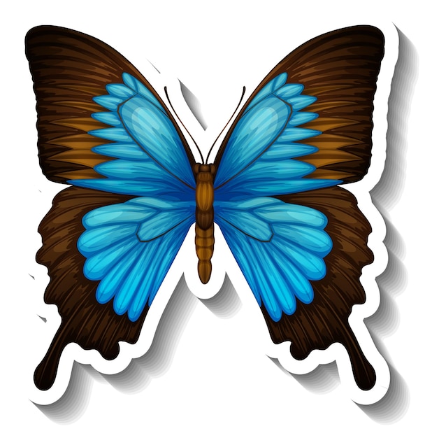 Single Teal Butterfly Clipart Images - Free Download on clipart library