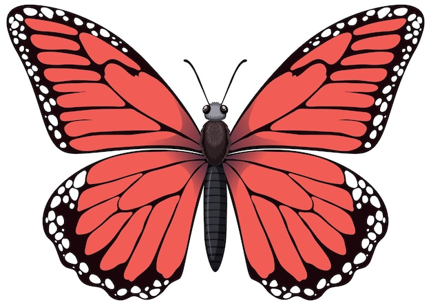 single butterfly cliparts