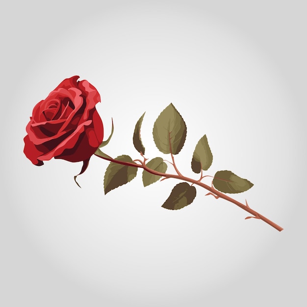 A simple yet elegant clipart of a single rose in full bloom print ...