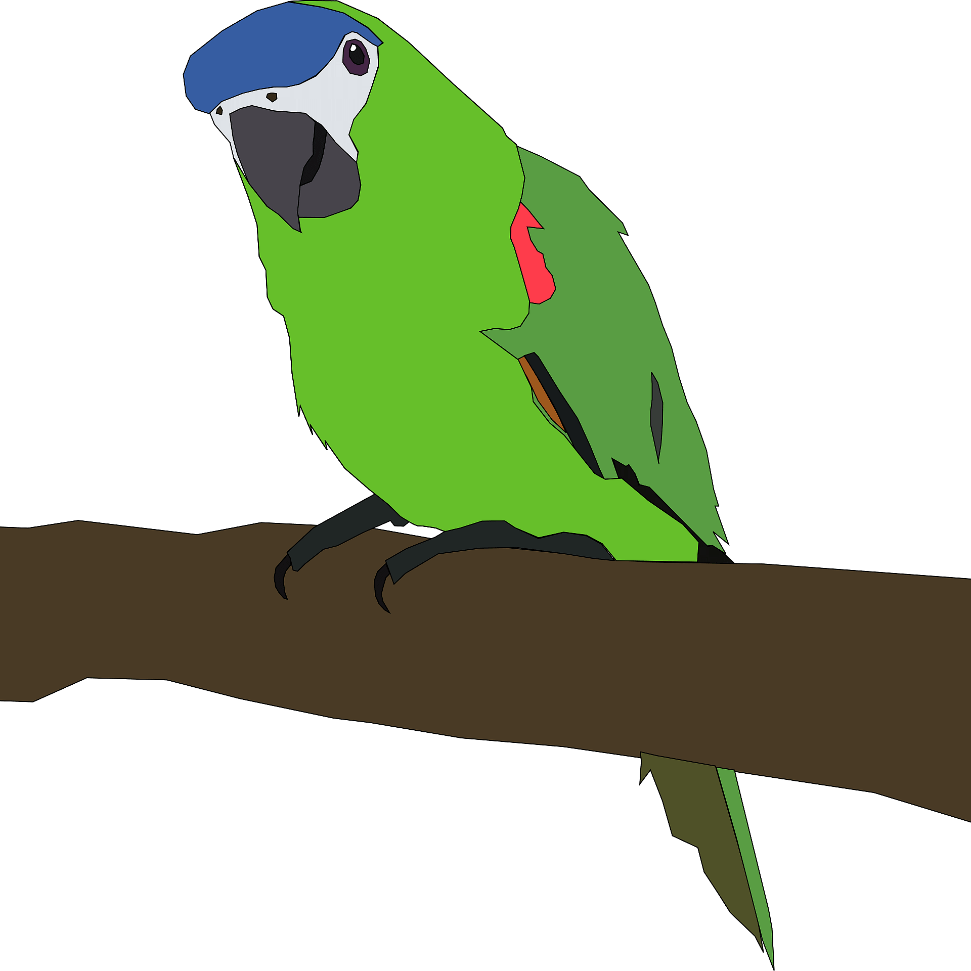 sitting parrot cliparts