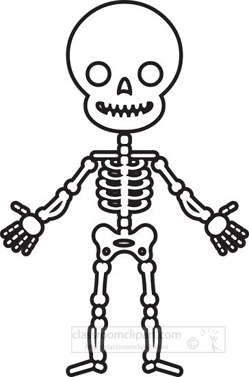 Science Outline Clipart-human skeleton system anatomy clipart copy
