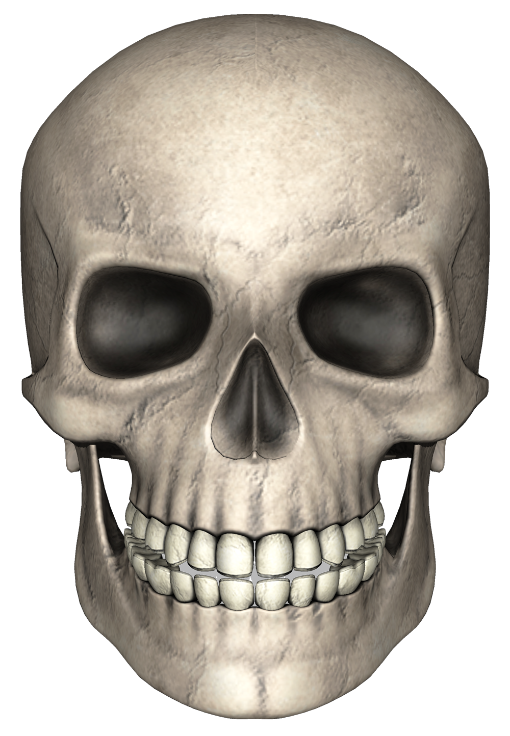 Head Skull Png Image Purepng Free Transparent Cc0 Png Image Head Skull Png Image Purepng Free Transparent Cc0 Png Image