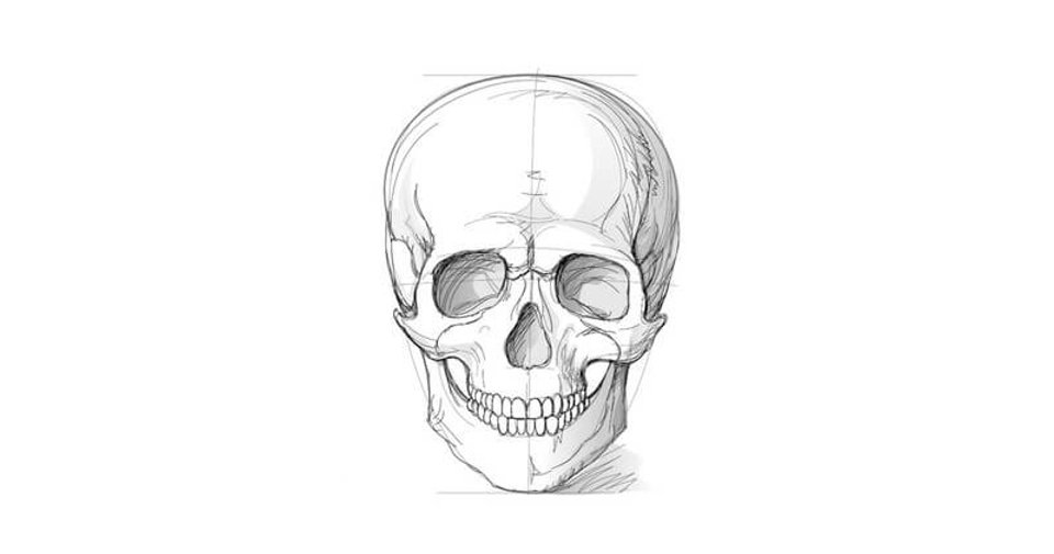How to draw a skull with a pencil step-by-step drawing tutorial