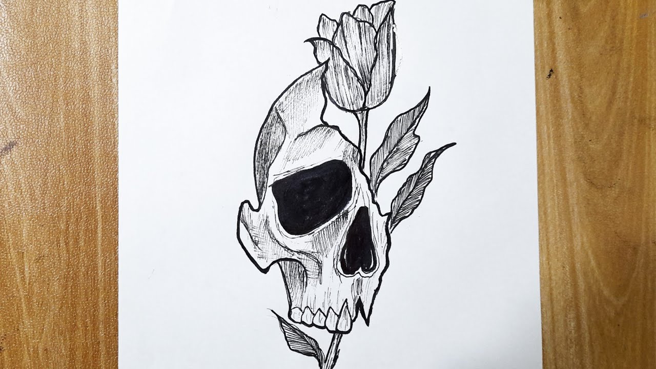 skull art drawings
