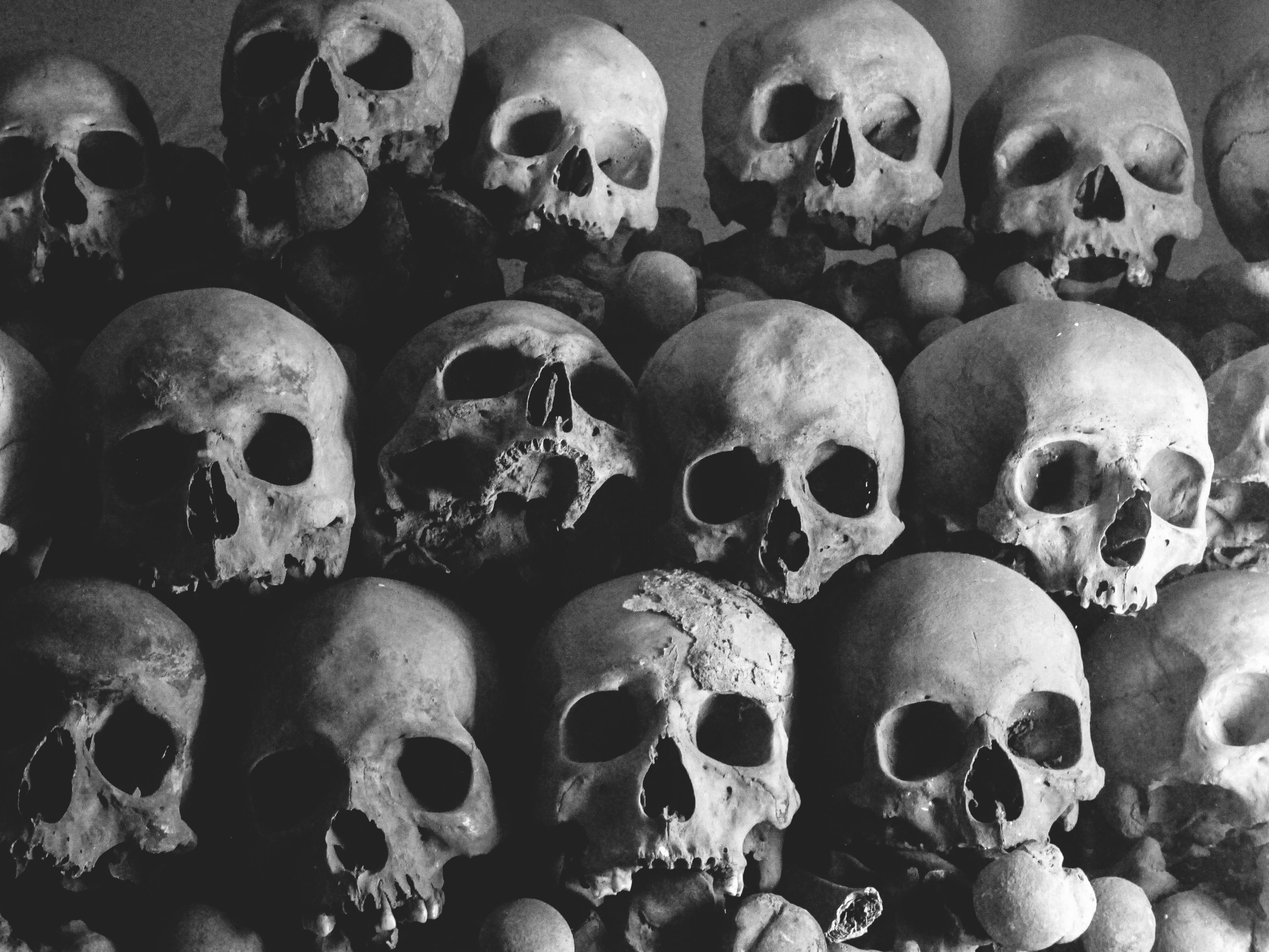 skull pictures free