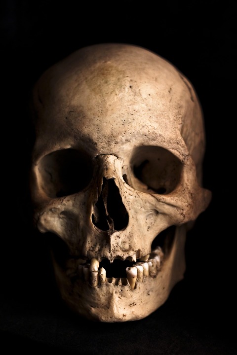 skull pictures free