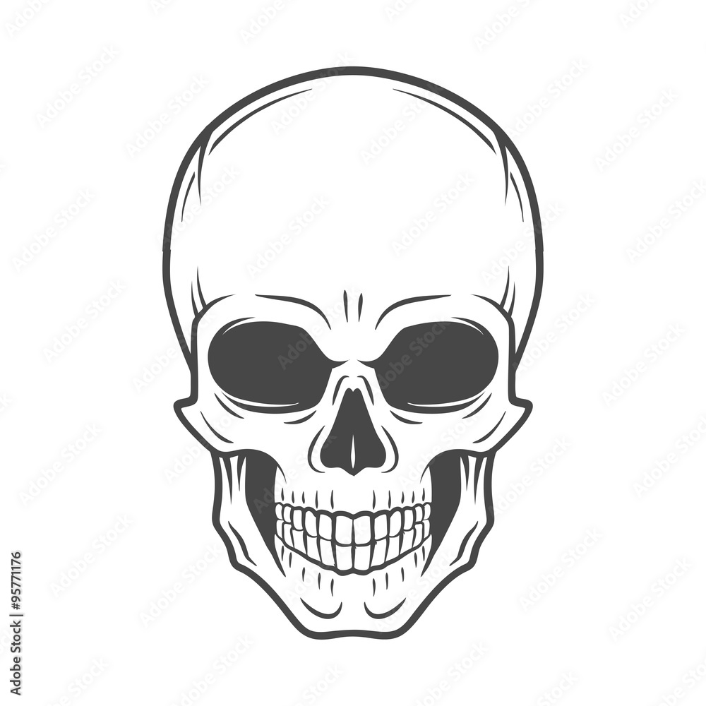 skull vector art