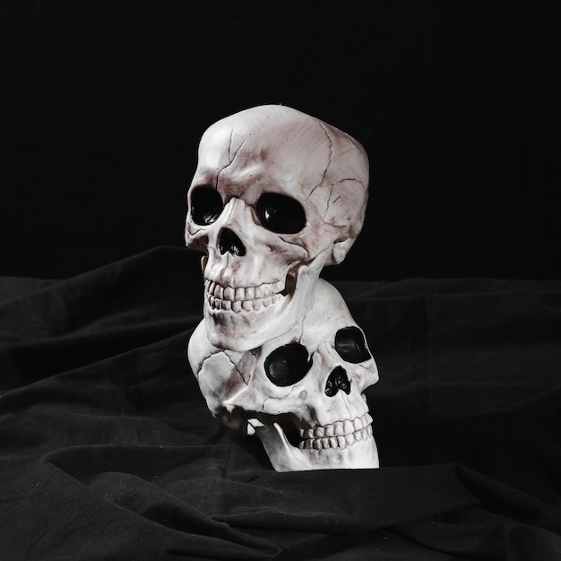 Skullss Pictures | clipart library