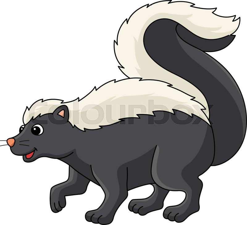 This cartoon clipart shows a Skunk Animal illustration | Colourbox