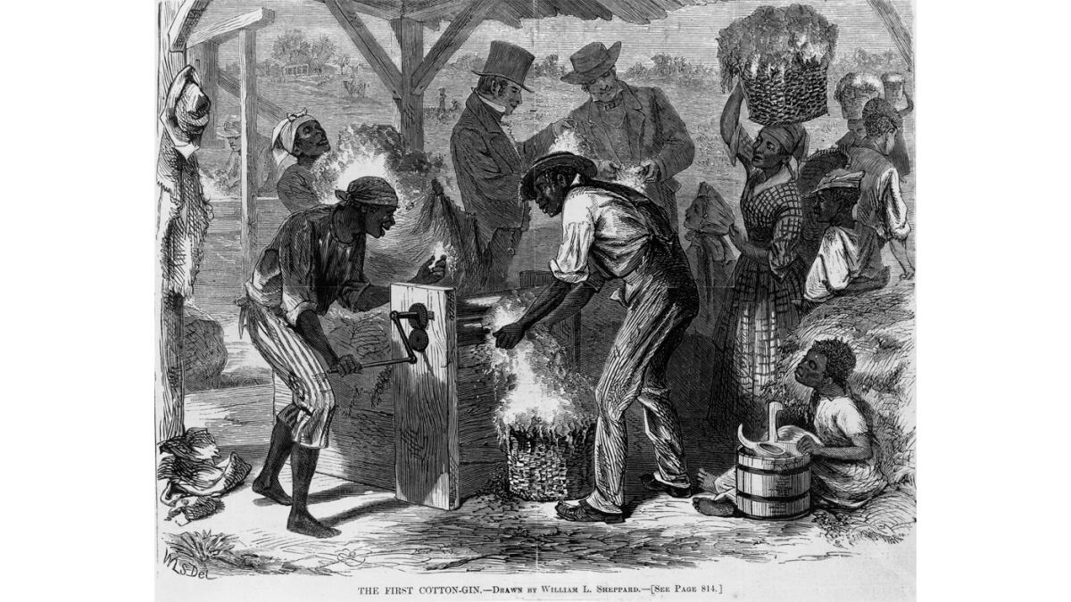 Review: The Half Has Never Been Told looks at slavery economics ...