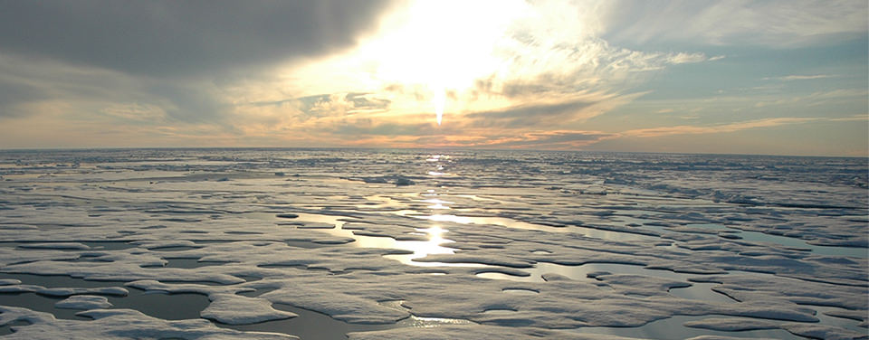 What is the worlds smallest ocean?