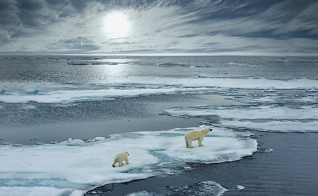 What Is the Smallest Ocean? - WorldAtlas