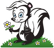 smelly skunk cliparts