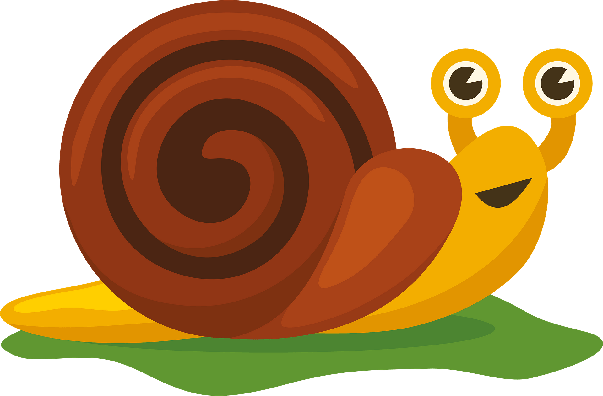 snail clipart