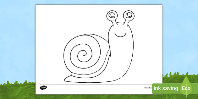 snail template