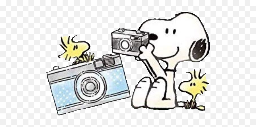 Snoopy Camera Peanuts Sticker By Miumiuu003d - U003d Snoopy Camera ...