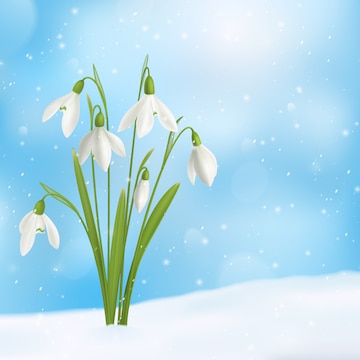 snow flower cliparts