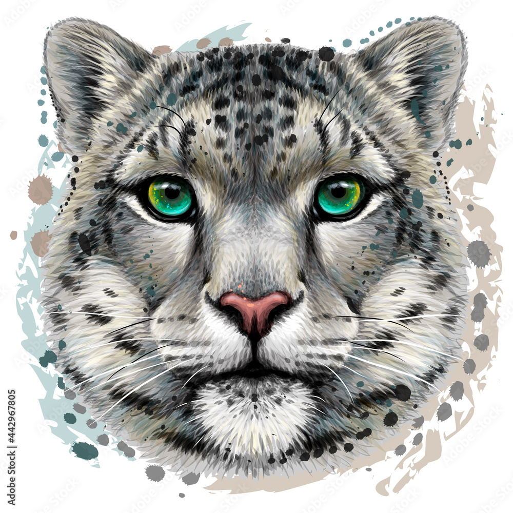 Snow leopard. Color portrait of a snow leopard in watercolor style ...